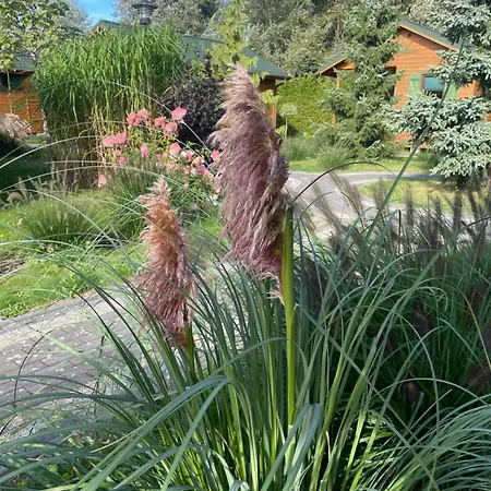 Sloneczna Polana 롯지