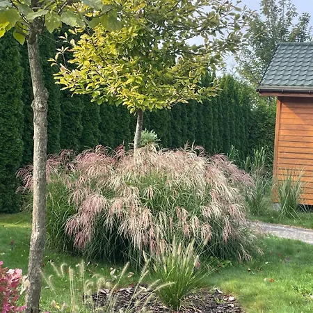 롯지 Sloneczna Polana *