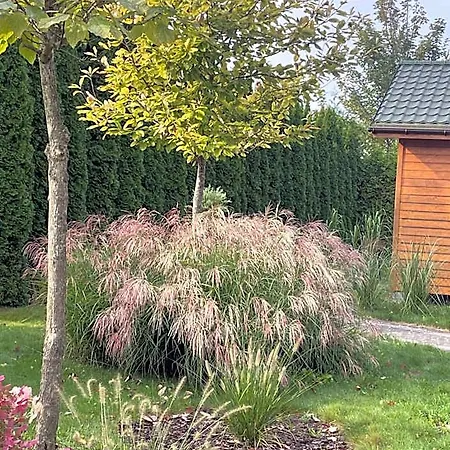 Lodge Sloneczna Polana *
