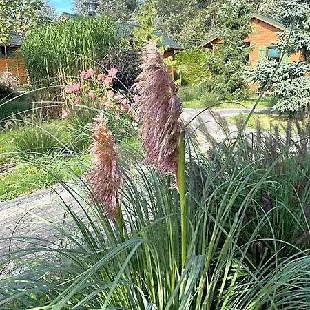 Sloneczna Polana * Mielno (Koszalin)
